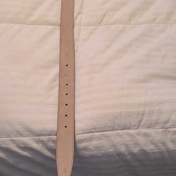 Belt - Picture 5 of 6